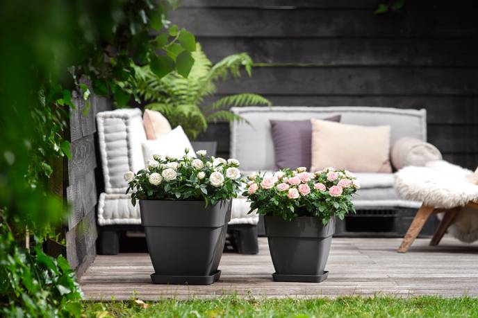 vibia campana carré 37cm anthracite